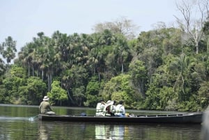 Puerto Maldonado: Excursão de 4 dias à floresta tropical de Tambopata