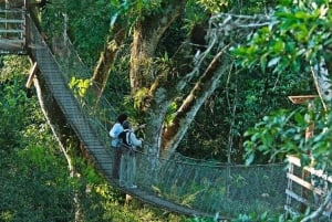 Puerto Maldonado: Canopy, Zipline, and Kayak Adventure