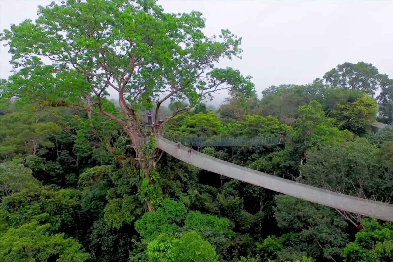 Puerto Maldonado - Jungle Adventure Tour