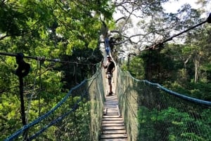 Puerto Maldonado: Jungle Adventure |Zipline + Canopy + Kayak
