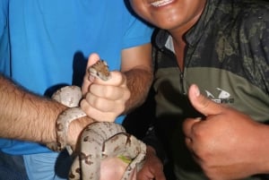 Puerto Maldonado: Jungle Avondtour met luiaards & Tarantula's