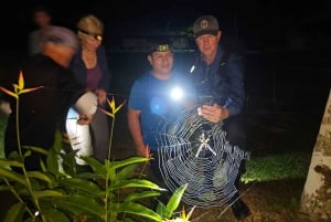 Puerto Maldonado: Jungle Avondtour met luiaards & Tarantula's