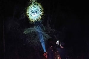 Puerto Maldonado: Jungle Avondtour met luiaards & Tarantula's