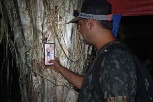 Puerto Maldonado: Jungle Night Tour with Sloths & Tarantulas