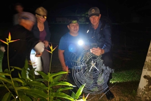 Puerto Maldonado: Jungle Night Tour with Sloths & Tarantulas