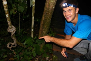 Puerto Maldonado: Jungle Night Tour with Sloths & Tarantulas