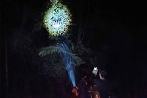 Puerto Maldonado: Jungle Night Tour with Sloths & Tarantulas