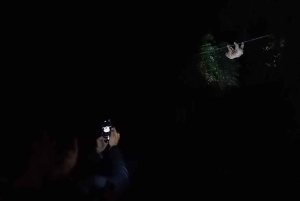 Puerto Maldonado: Jungle Night Tour with Sloths & Tarantulas