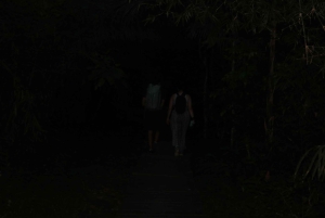 Puerto Maldonado: Jungle Night Tour with Sloths & Tarantulas