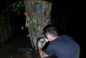 Puerto Maldonado: Jungle Night Tour with Sloths & Tarantulas