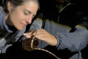 Puerto Maldonado: Jungle Night Tour with Sloths & Tarantulas