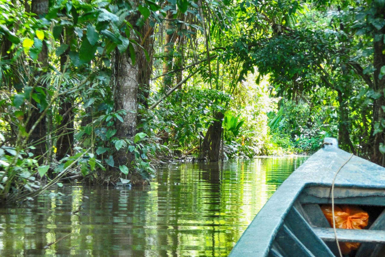 Puerto Maldonado: Lake Sandoval canoeing with lunch in Peru