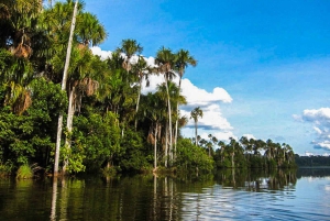 Puerto Maldonado | Lake Sandoval Full-Day