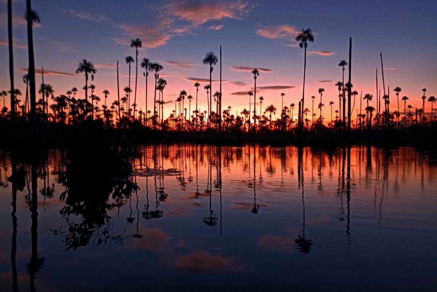 Puerto Maldonado: Lake Yacumama sunset and piranha fishing