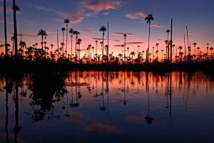Puerto Maldonado: Yacumama-järven auringonlasku ja piranha-kalastus