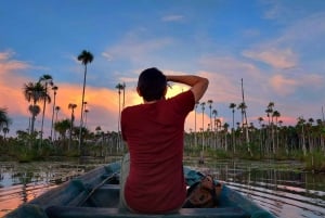 Puerto Maldonado: Yacumama-järven auringonlasku ja piranha-kalastus