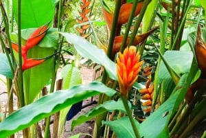 Puerto Maldonado: Ori'Numba Garden & Harakbut Culture Tour