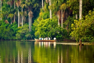 Puerto Maldonado: Peruvian Tambopata Jungle Trip