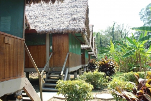 Puerto Maldonado: Peruvian Tambopata Jungle Trip