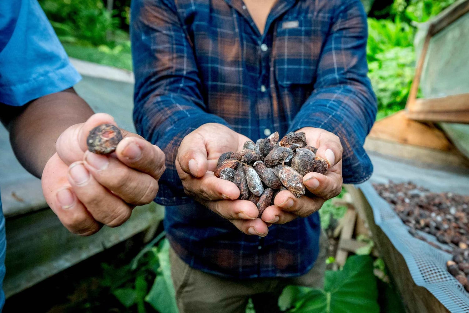 Puerto Maldonado: Private Chocolate Class