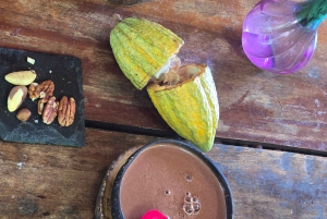 Puerto Maldonado: Private Chocolate Class