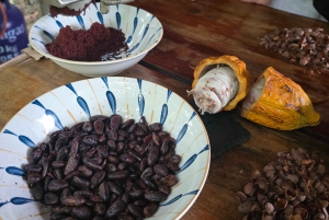 Puerto Maldonado: Private Chocolate Class