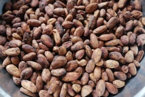 Puerto Maldonado: Private Chocolate Class