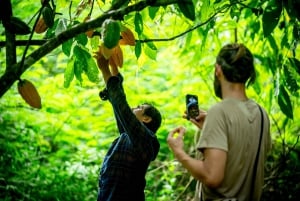 Puerto Maldonado: Private Chocolate Class