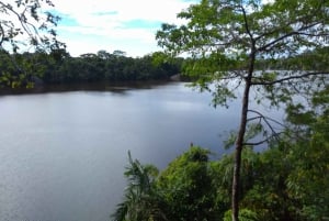 Puerto Maldonado: Private Sandoval Lake Experience