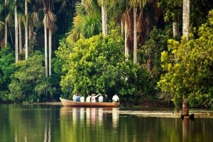Puerto Maldonado: Sandoval - 2D/1N - Tambopatas djungel Cusco