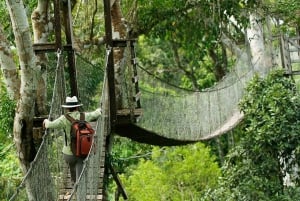 Puerto Maldonado: Sandoval - 2D/1N - Tambopatas djungel Cusco