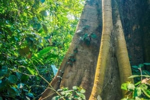 Puerto Maldonado: Sandoval - 2D/1N - Tambopatas djungel Cusco