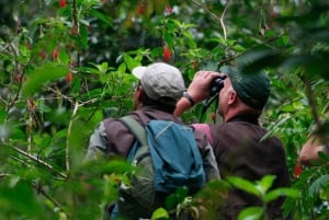 Puerto Maldonado: Sandoval - 2D/1N - Tambopatas djungel Cusco