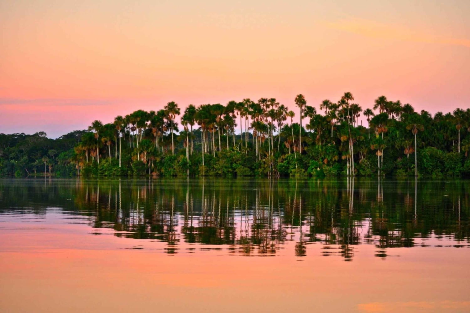 Puerto Maldonado: Sandoval Lake and Tambopata Reserve Tour