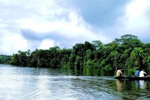 Puerto Maldonado: Sandoval Lake and Tambopata Reserve Tour