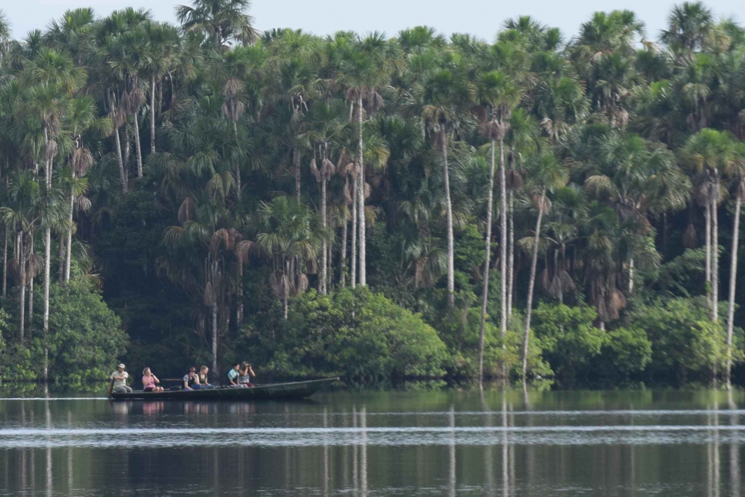 Puerto Maldonado : Excursion d'une journée au lac Sandoval avec canoë-kayak