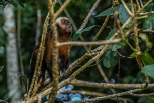 Puerto Maldonado: Sandoval Lake Full-Day Trip with Canoeing