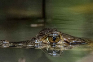 Puerto Maldonado: Sandoval Lake Full-Day Trip with Canoeing