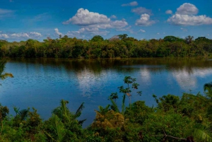 Puerto Maldonado: Sandoval & Parrot Clay Lick 3-Days