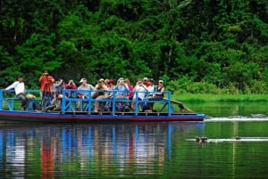 Puerto Maldonado: Passeio de observação de aves em Tambopata ao nascer do sol