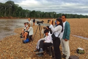 Puerto Maldonado: Tambopata Chuncho Macaw Clay Lick Tour