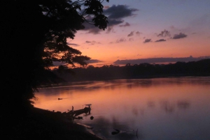 Puerto Maldonado: Tambopata Expeditions 4 Days (expeditions)