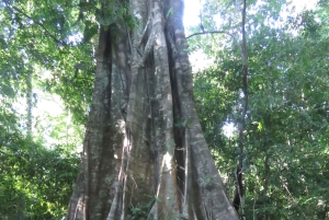 Puerto Maldonado: Tambopata Expeditions 4 Days (expeditions)