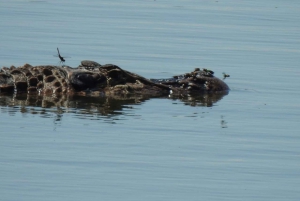 Puerto Maldonado, Tambopata jungle highlights 3 days 2n