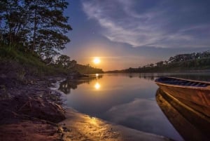 Puerto Maldonado: tour serale nella giungla di Tambopata