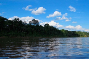 Puerto Maldonado: Tambopatan kansallispuiston retki 4-päiväinen
