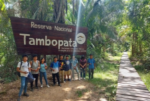 Puerto Maldonado: Tambopatan kansallispuiston retki 4-päiväinen