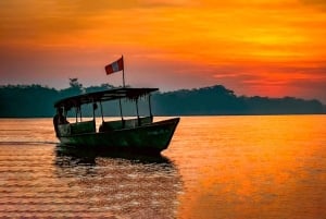 Puerto Maldonado: Tambopata Night Jungle Tour