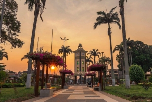 Puerto Maldonado: Tambopata Night Jungle Tour