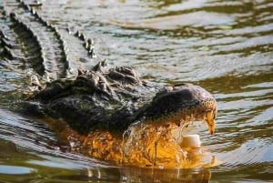 Puerto Maldonado: Tambopata River Night Safari with Pickup